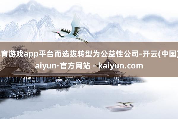 体育游戏app平台而选拔转型为公益性公司-开云(中国)Kaiyun·官方网站 - kaiyun.com