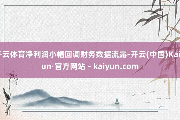 开云体育净利润小幅回调财务数据流露-开云(中国)Kaiyun·官方网站 - kaiyun.com