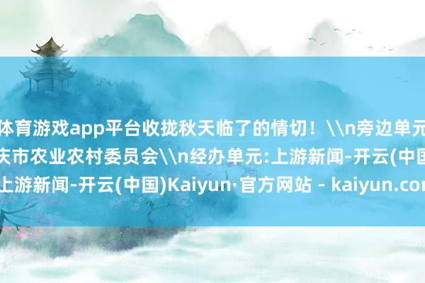 体育游戏app平台收拢秋天临了的情切！\n旁边单元:重庆市委网信办、重庆市农业农村委员会\n经办单元:上游新闻-开云(中国)Kaiyun·官方网站 - kaiyun.com
