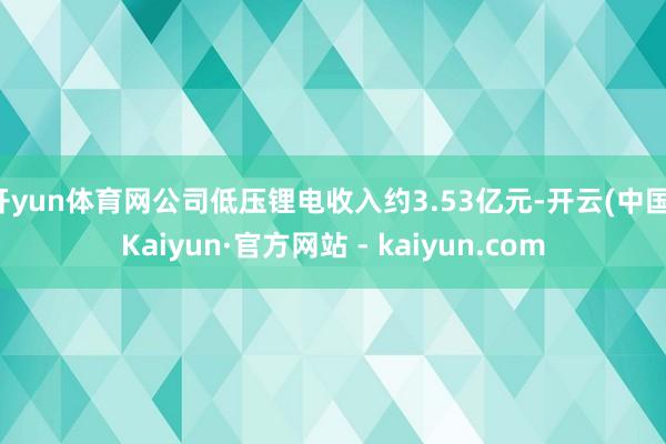 开yun体育网公司低压锂电收入约3.53亿元-开云(中国)Kaiyun·官方网站 - kaiyun.com